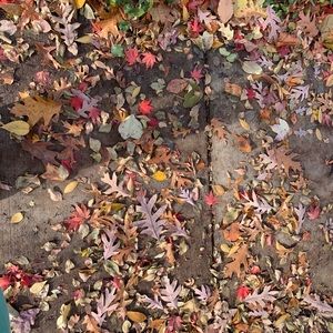 Meet your Posher, Hazal